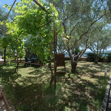 Four Olives Турань